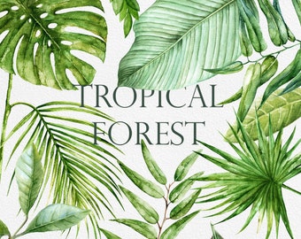 May include: Watercolor illustration of a tropical forest with various green leaves, including palm leaves, monstera leaves, and ferns. The text "TROPICAL FOREST" is written in the center of the image.