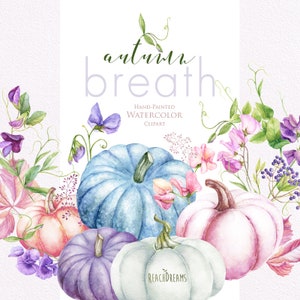 Piselli e zucche dolci. Clipart Fiore acquerello, fiori di pisello, Floreale autunnale, Rosa, Viola, Viola, Blu, Dipinto a mano, ClipArt fai-da-me