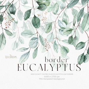 Grens aquarel, Eucalyptus clipart, Groene tropische bladeren, Bruiloft uitnodigingen, Verjaardagsfeestje, Groen gebladerte, Botanische, Bloemen, png
