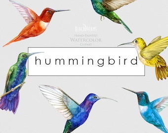Hummingbirds, watercolor clipart, exotic birds, tropical, hummingbird png, colibri clip art, wild bird, invitations, garden, cute, paradise