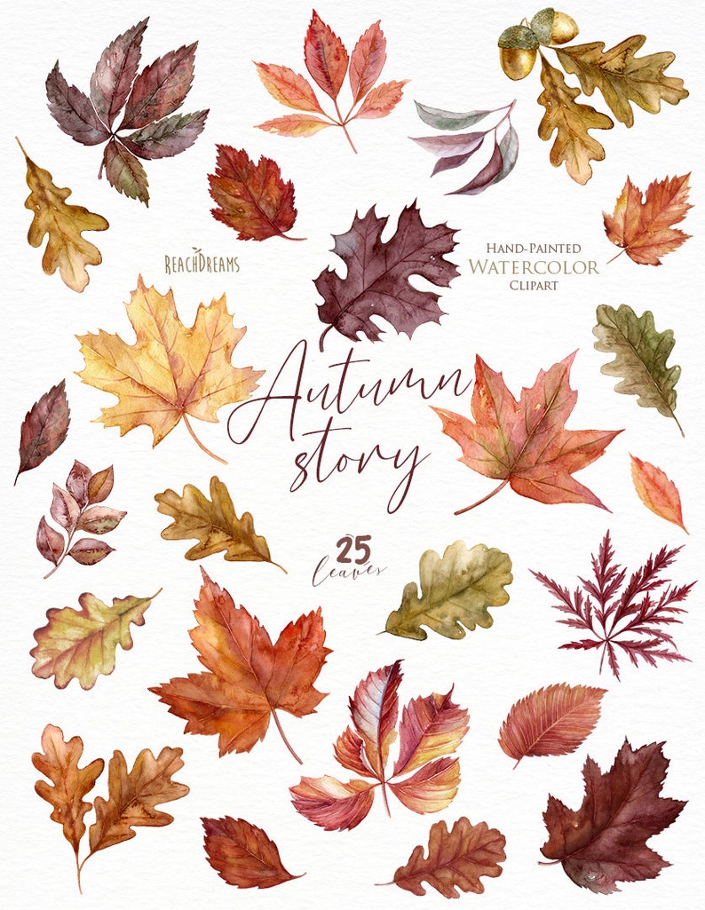 May include: A set of 25 watercolor illustrations of autumn leaves in various shades of red, orange, yellow, and brown. The leaves are hand-painted and perfect for adding a touch of fall to your projects.