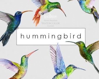 Könnte beinhalten: Fünf Aquarell-Illustrationen von Kolibris in verschiedenen Posen. Die Kolibris sind in leuchtenden Farben gemalt, darunter Grün, Blau, Rot und Lila. Die Illustrationen sind vor einem hellgrauen Hintergrund angeordnet. Der Text "hummingbird" ist in einer schwarzen serifenlosen Schrift geschrieben.