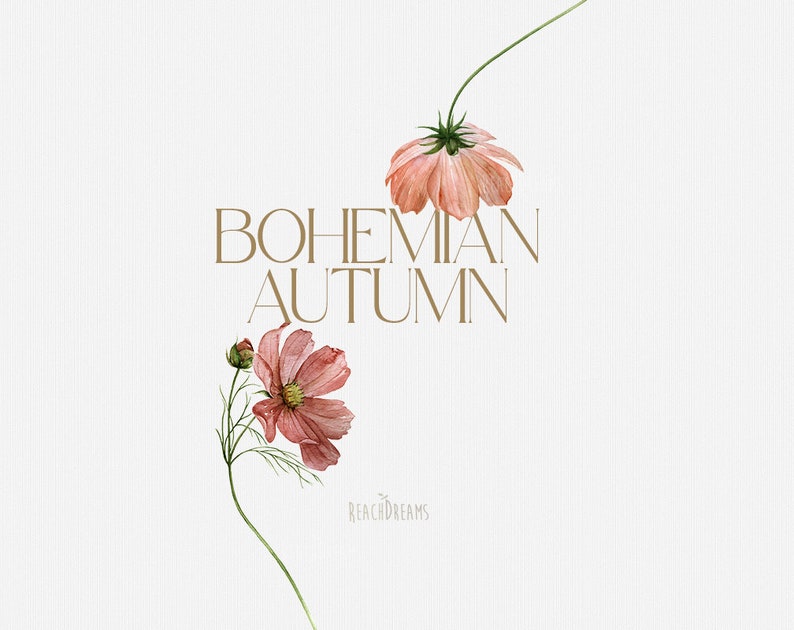 Peut inclure: Une illustration aquarelle de deux fleurs de cosmos roses avec des tiges et des feuilles vertes. Le texte "BOHEMIAN AUTUMN" est &eacute;crit en brun sous les fleurs. Le texte "ReachDreams" est &eacute;crit en brun plus petit sous les fleurs.