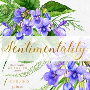 Viola Flowers, Watercolor Clipart Bouquets Arrangements, Floral Violet, Wedding invitation, Purple, Individual PNG files, greetings card