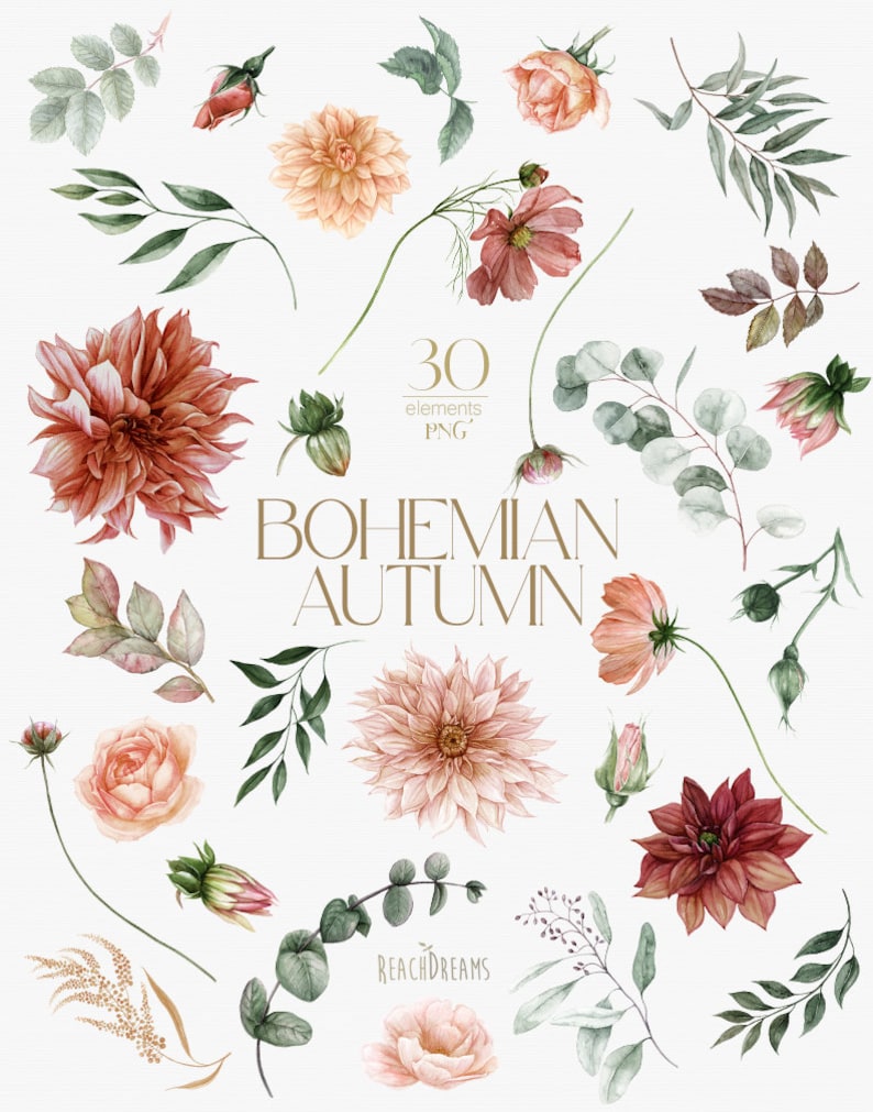 Peut inclure: Un ensemble de 30 illustrations aquarelle repr&eacute;sentant des &eacute;l&eacute;ments floraux d'automne boh&egrave;mes. L'ensemble comprend diverses fleurs, feuilles et branches dans des tons de rouge, rose, vert et or. Le texte "BOHEMIAN AUTUMN" est pr&eacute;sent&eacute; au centre de l'image.