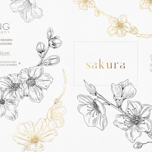 Arte em linha de flor de cerejeira, clipart de Sakura, ramos florais de primavera, buquês botânicos pré-fabricados PNG, Sakura japonesa, flores desenhadas à mão