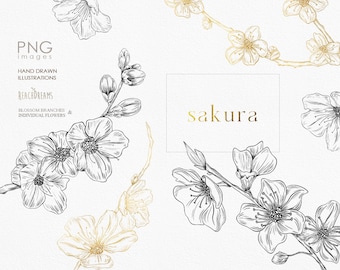 Cherry Blossom Line Art, Sakura Clipart, Spring Floral branches, Botanical Bouquets Premade PNG, Japanese Sakura, Hand Drawn Flowers