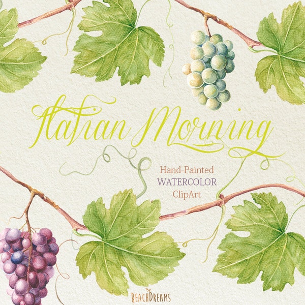 Watercolor Grapes & leaves. Vine Borders, DIY elements, invite, wedding invitations, Hand Painted Botanical Frame. Greeting card