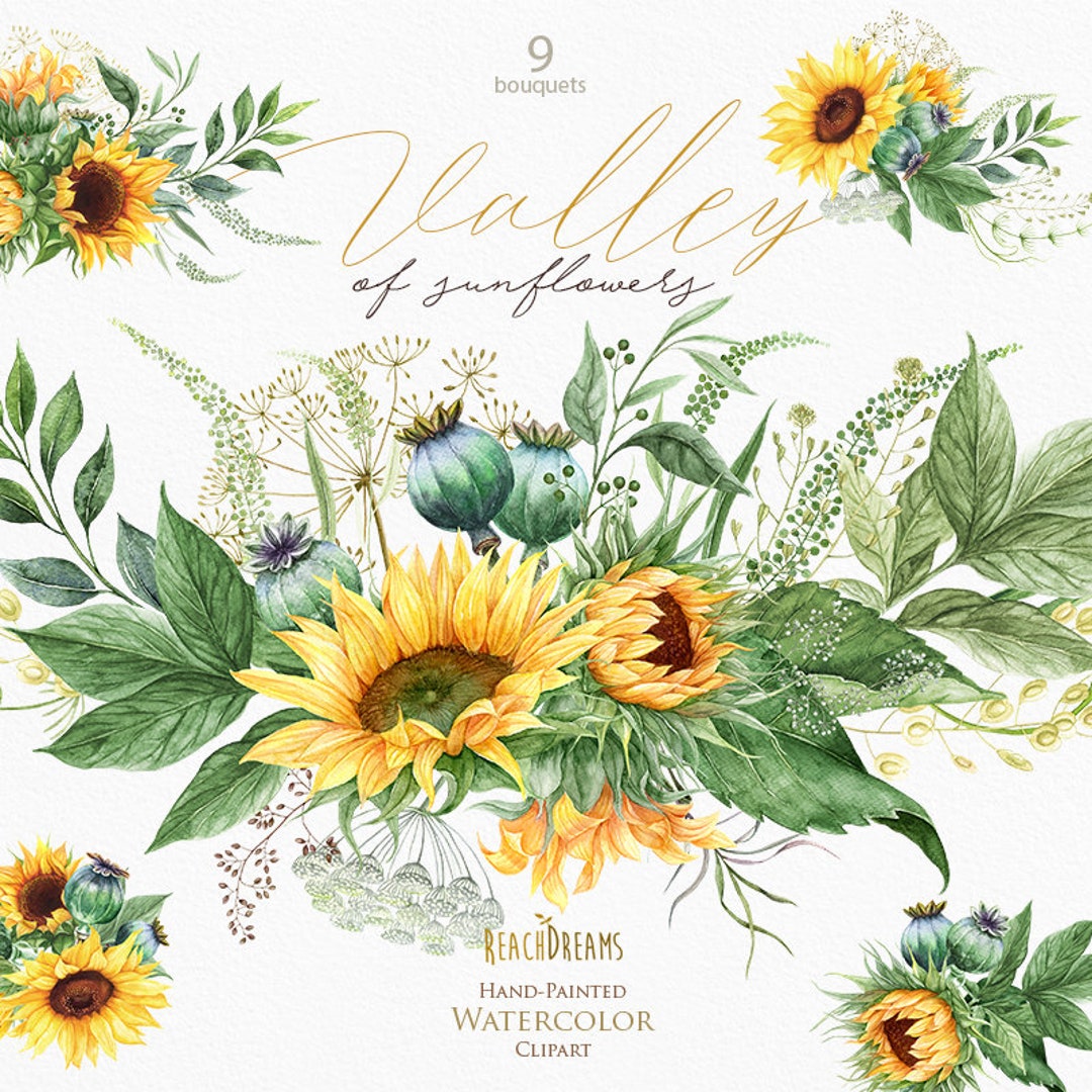 scooters sunflowers nudist Sunflowers Clipart, Poppy Seed-head, Poppy Clipart, Bohemian, Boho Flowers,  Greenery, Yellow, Wedding, Watercolor Bouquets, Invitations Png - Etsy UK