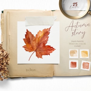 May include: A watercolor painting of a single orange and red maple leaf. The leaf is isolated on a white background. The image is part of a set of 25 hand-painted watercolor clipart images. The text "Autumn story" is written in cursive above the leaf. The text "Hand-painted Watercolor Clipart" is written below the leaf.