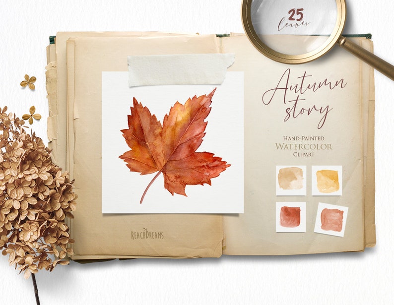 May include: A watercolor painting of a single orange and red maple leaf. The leaf is isolated on a white background. The image is part of a set of 25 hand-painted watercolor clipart images. The text "Autumn story" is written in cursive above the leaf. The text "Hand-painted Watercolor Clipart" is written below the leaf.