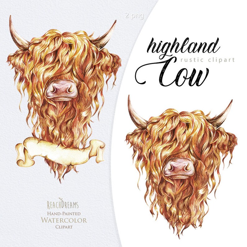 Highland Cow Png Watercolor Cow Clipart Highland Cows Head - Etsy