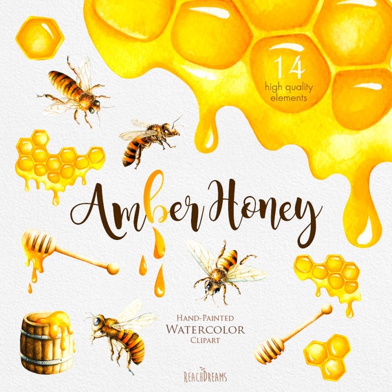 Watercolor Honey Bee Clipart, Honeycomb, Hand Painted Digital Clip Art  Instant Download, DIY Invites, Scrapbooking, Summer Yellow Colors. 