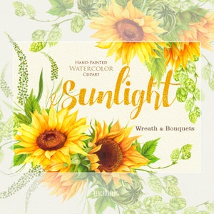 Corona d'acqua di girasole e bouquet con luppolo. Fiori boho boho. Clipart da sposa dipinta a mano. Inviti digitali fai-da-te. Biglietto d'auguri