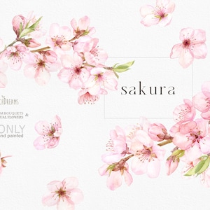 Clipart di fiori di ciliegio ad acquerello, clipart Sakura, rami floreali, bouquet freschi rosa floreali primaverili, clipart prefabbricate, png sakura giapponese