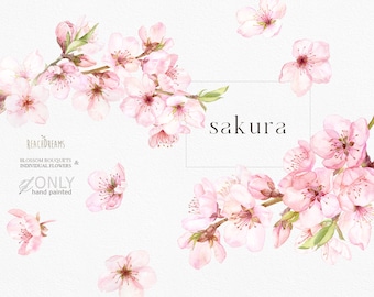 Watercolor Cherry Blossoms Clipart, Sakura Clipart, Floral branches, Spring Floral Pink Fresh Bouquets, Premade clipart, Japanese sakura png