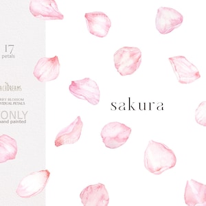Clipart di fiori di ciliegio dell'acquerello, Sakura Clipart, petali floreali, mazzi freschi rosa floreale di primavera, Clipart premade, sakura giapponese png