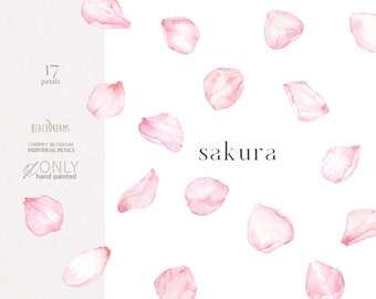 Watercolor Cherry Blossoms Clipart, Sakura Clipart, Floral Petals, Spring Floral Pink Fresh Bouquets, Premade clipart, Japanese sakura png