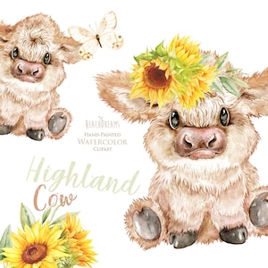Petit Paresseux Orang Outan Lemurien Aquarelle Les Bebes Etsy