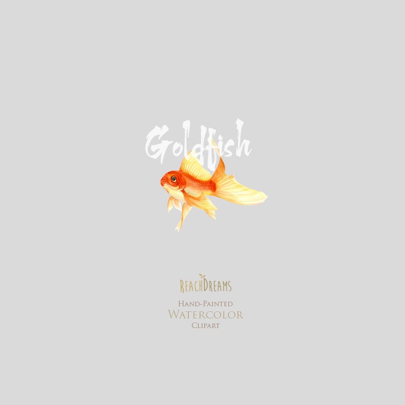 May include: Watercolor illustration of a goldfish with orange and yellow scales. The illustration is labeled "Goldfish" and "ReachDreams Hand-Painted Watercolor Clipart".