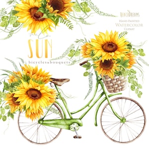Tournesol Aquarelle Fleur clipart, vintage, vélo, vélo, clip art d’été, rustique, tournesols, houblon, herbes, boho, boho, floral numérique