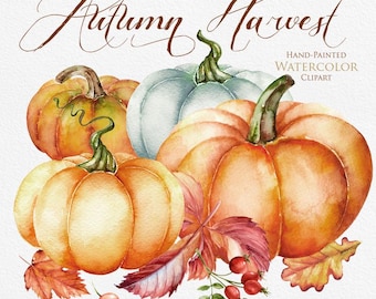 Calabaza acuarela, Halloween, otoño, zarza, hojas de otoño, clipart digital, clipart pintado a mano, clipart de calabazas, descarga instantánea