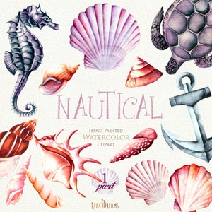 Puede incluir: Ilustraciones de acuarela de artículos de temática náutica, incluyendo un caballito de mar, conchas marinas, una tortuga, un ancla y la palabra "NAUTICAL".