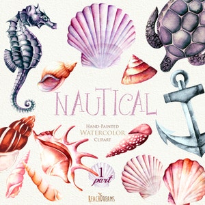 Nautical watercolor clipart. Seashells, Seahorse, Sea turtle, Anchor. Ocean. Individual PNG files. Hand Painted Elements. invitation, DIY