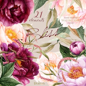 Peonies Flowers Watercolor, Floral elements, Burgundy, Violet, Peach, Botanical, Boho clipart, Hand Painted Wedding Clip art, Digital png