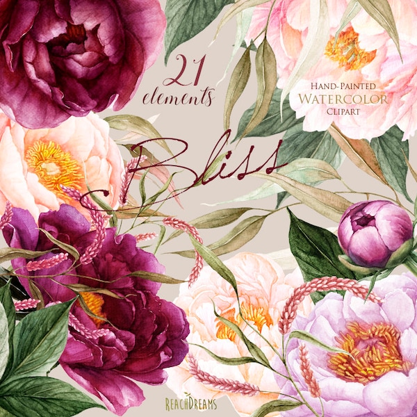 Peonies Flowers Watercolor, Floral elements, Burgundy, Violet, Peach, Botanical, Boho clipart, Hand Painted Wedding Clip art, Digital png