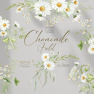 Kamille Blumen, Aquarell Wildblumen Wiese, weiße Blumen Sommer Clipart, Hochzeitssträuße, PNG Blumen für Logo, Einladung DIY