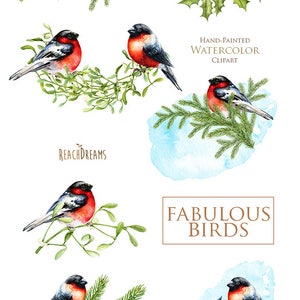 Watercolor Birds, Holiday Clipart, Bullfinch, Merry Christmas ...