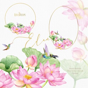 Lotus Aquarell Blumen Clipart, Nenuphar Clipart, Seerosen, Kolibri, Brautdusche, Planer-Design, Hochzeitseinladung, Blumen