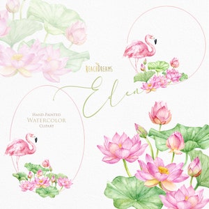 Lotus Acquerello Fiori Clipart, Nenuphar clipart, Ninfee, Fenicottero, Uccello, doccia nuziale, design pianificatore, invito di nozze, floreale