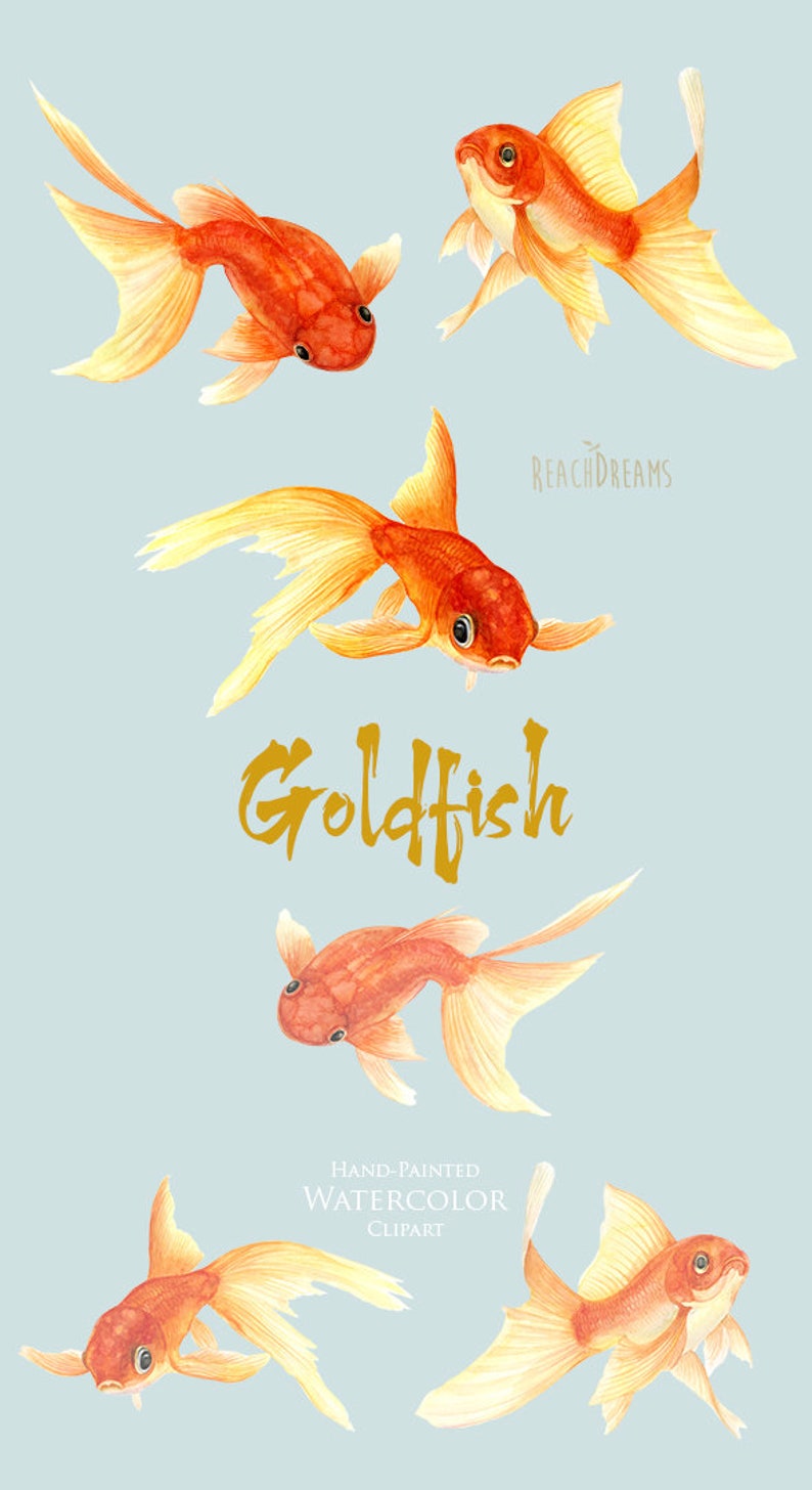 May include: Five watercolor illustrations of goldfish, painted in shades of orange and yellow. The goldfish are swimming in different directions, with their fins and tails flowing in the water. The illustrations are set against a light blue background. The text "Goldfish" is written in gold script below the fish.