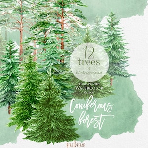 Aquarelle Clipart Épinette, Pin, Conifères, Forêt, bois, paysage, cadre, citation, peint à la main, carte de vœux, clip art diy, Noël