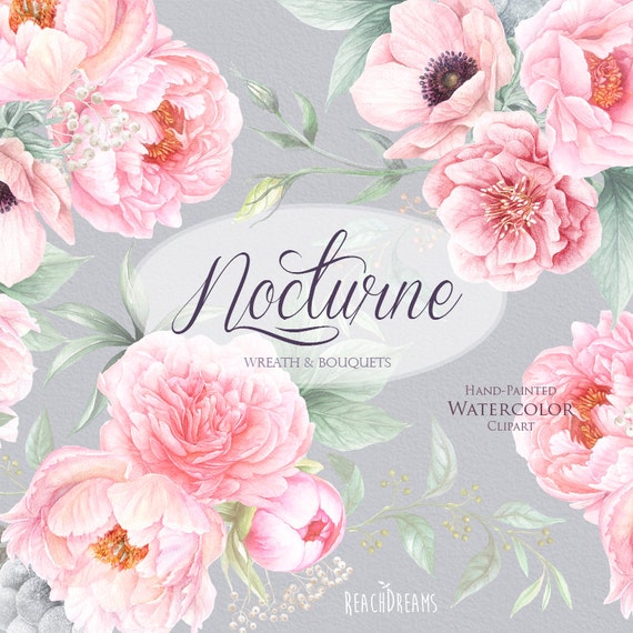 watercolor peonies flowers anemone hand painted clipart etsy