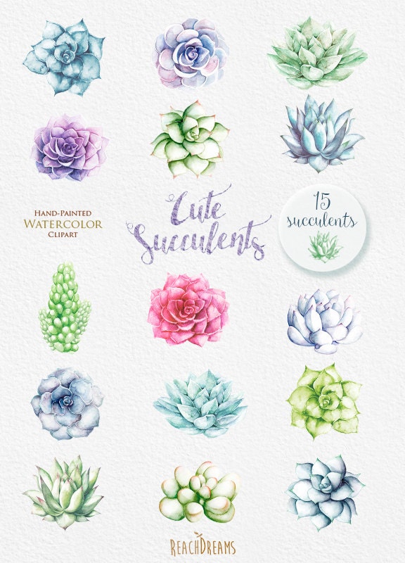 Watercolor Succulents Clipart. Wedding Diy Elements. Plants - Etsy