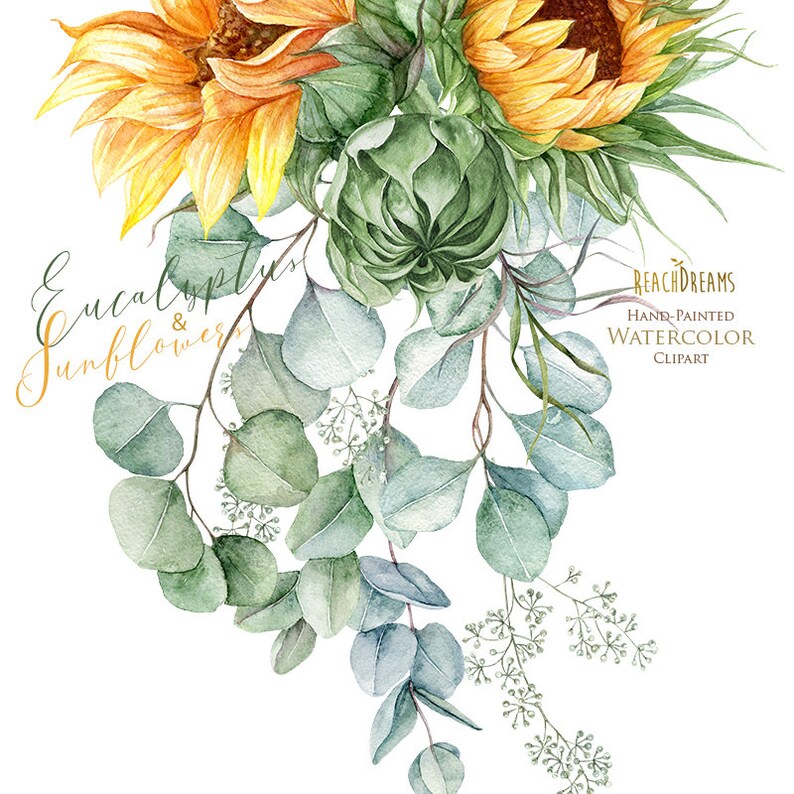 K&ouml;nnte beinhalten: Aquarell-Clipart mit einem Strau&szlig; Sonnenblumen und Eukalyptusbl&auml;ttern. Die Sonnenblumen sind gelb mit braunen Zentren und die Eukalyptusbl&auml;tter sind gr&uuml;n und blaugr&uuml;n.