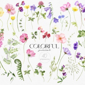 May include: A collection of 40 watercolor illustrations of various flowers and plants, including clover, bellflowers, sweet peas, ferns, and wildflowers. The illustrations are in shades of pink, purple, yellow, and green, and are arranged in a whimsical, botanical style.