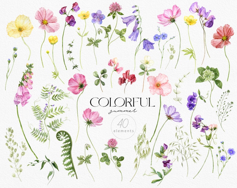 May include: A collection of 40 watercolor illustrations of various flowers and plants, including clover, bellflowers, sweet peas, ferns, and wildflowers. The illustrations are in shades of pink, purple, yellow, and green, and are arranged in a whimsical, botanical style.