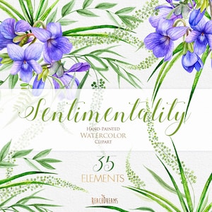 Flores de viola, clipart aquarela, violeta floral, convite de casamento, arranjos roxos, elementos individuais, arquivos PNG, cartões de felicitações