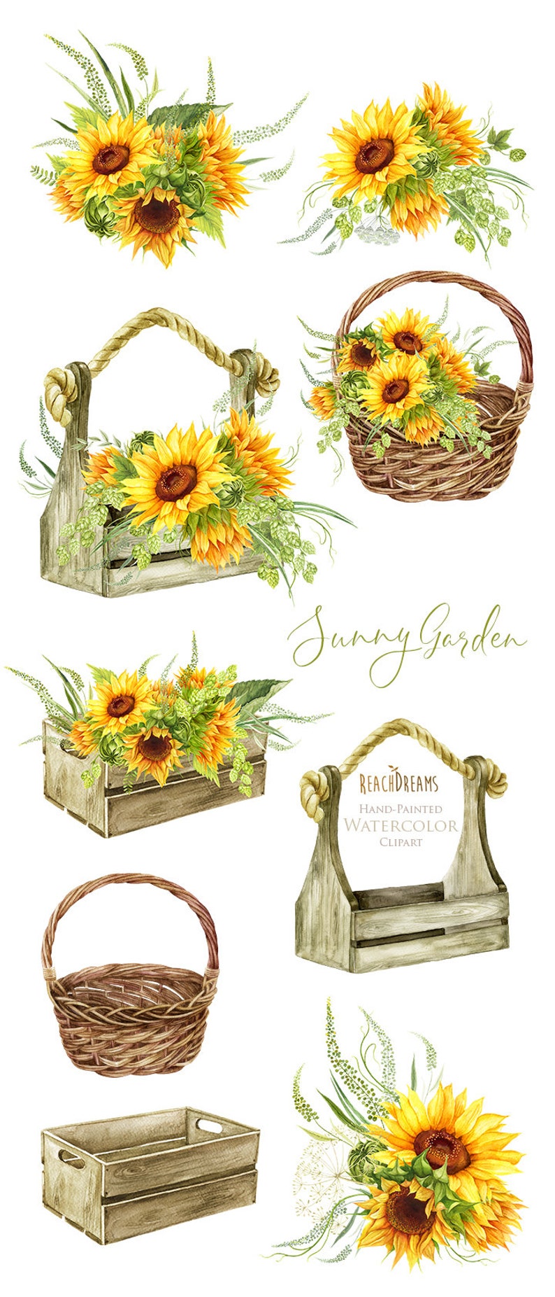 Sunflowers Watercolor Flower clipart, Hand painted, DIY Clip Art, Summer Herb, Bohemian Boho, floral invitation, greeting card, PNG files image 2