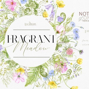 Imágenes Prediseñadas de flores silvestres, prado, botón de oro, trébol, helecho, corona de acuarela floral, hierbas silvestres, imágenes prediseñadas de boda, flores de verano de acuarela png