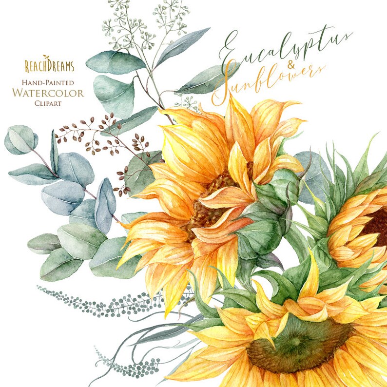 K&ouml;nnte beinhalten: Aquarellmalerei eines Strau&szlig;es Sonnenblumen und Eukalyptusbl&auml;ttern. Die Sonnenblumen sind gelb mit braunen Zentren und die Eukalyptusbl&auml;tter sind gr&uuml;n. Der Text "Eucalyptus & Sunflowers" ist in goldener Schrift oben im Bild geschrieben.