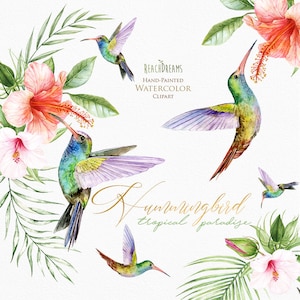 Kolibri, Aquarell Clipart, exotische Vögel, tropische Blätter, Kolibri Png, grüne Blätter, wildvogel, Einladungen, Garten, Paradies