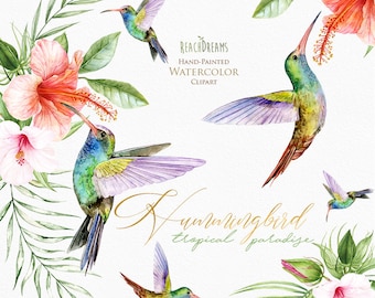 Könnte beinhalten: Aquarell-Illustration von Kolibris mit tropischen Blumen und Blättern. Die Illustration zeigt fünf Kolibris in verschiedenen Posen mit leuchtend grünen, blauen und violetten Federn. Die Blumen sind rosa und rote Hibiskus mit grünen Blättern. Der Text "ReachDreams Hand-Painted Watercolor Clipart Hummingbird tropical paradise" ist in goldener Schrift geschrieben.