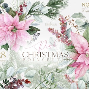 Elementos navideños, Eucalipto acuarela, Poinsettia rosa, Imágenes prediseñadas florales, Año nuevo, Boda de invierno, Muérdago, Abeto, Follaje, Vegetación