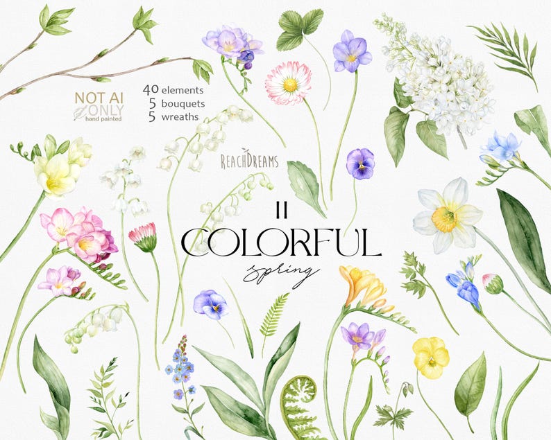 May include: Watercolor illustrations of various spring flowers, including lilies of the valley, freesia, daffodils, and forget-me-nots. The text "NOT AI ONLY hand painted" and "|| COLORFUL Spring" is also included in the image.