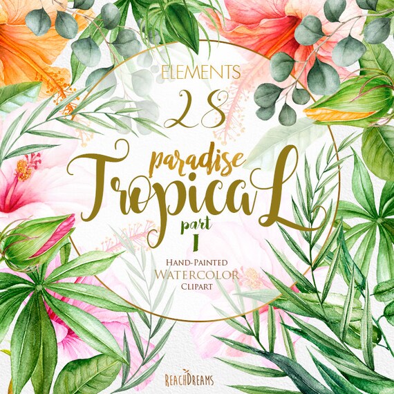 tropic clipart tropical watercolor